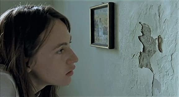 ジェリーフィッシュの画像