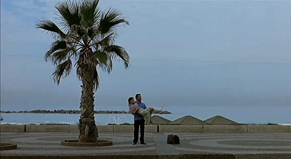 ジェリーフィッシュの画像