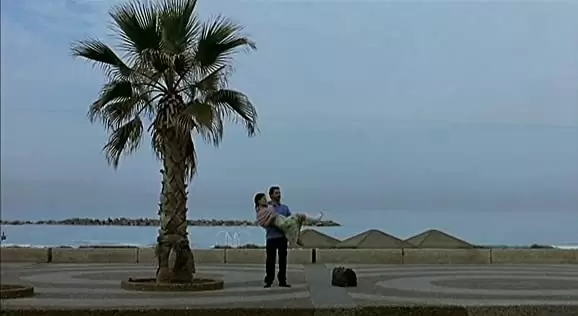 ジェリーフィッシュの画像