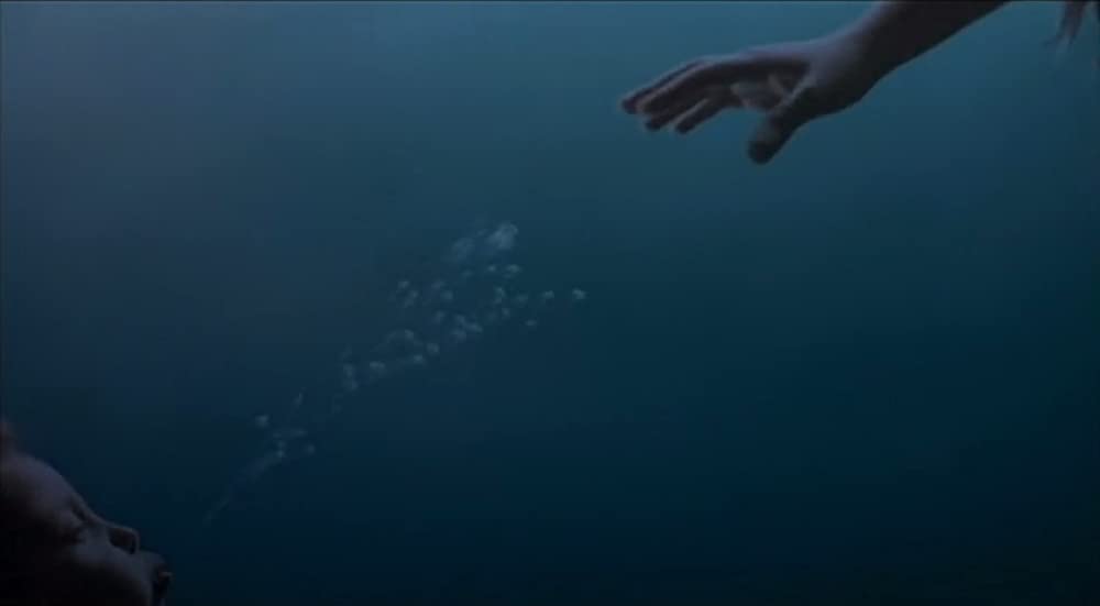 ジェリーフィッシュの画像