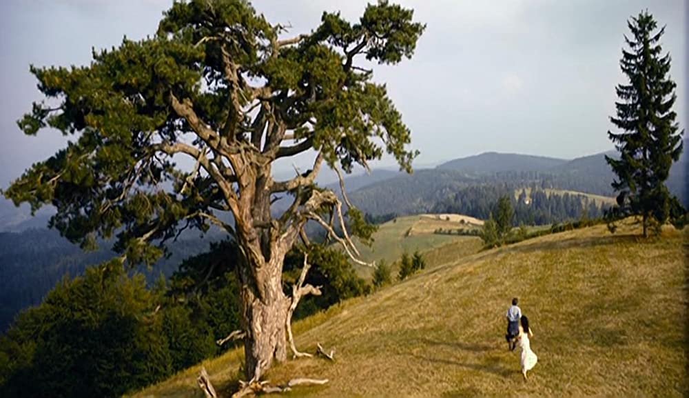 オン・ザ・ミルキー・ロードの画像