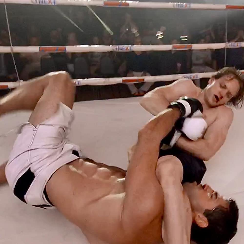 ハード・ターゲット2 ファイティング・プライドの画像