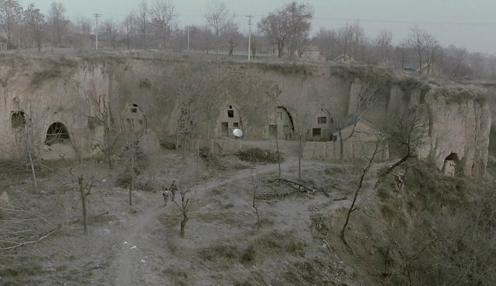 よみがえりの樹の画像