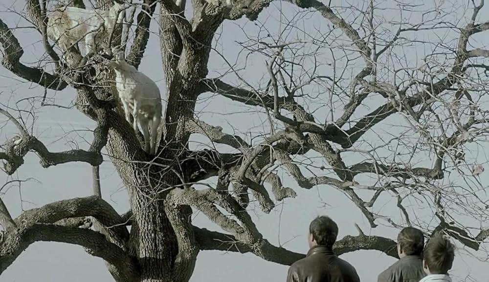 よみがえりの樹の画像