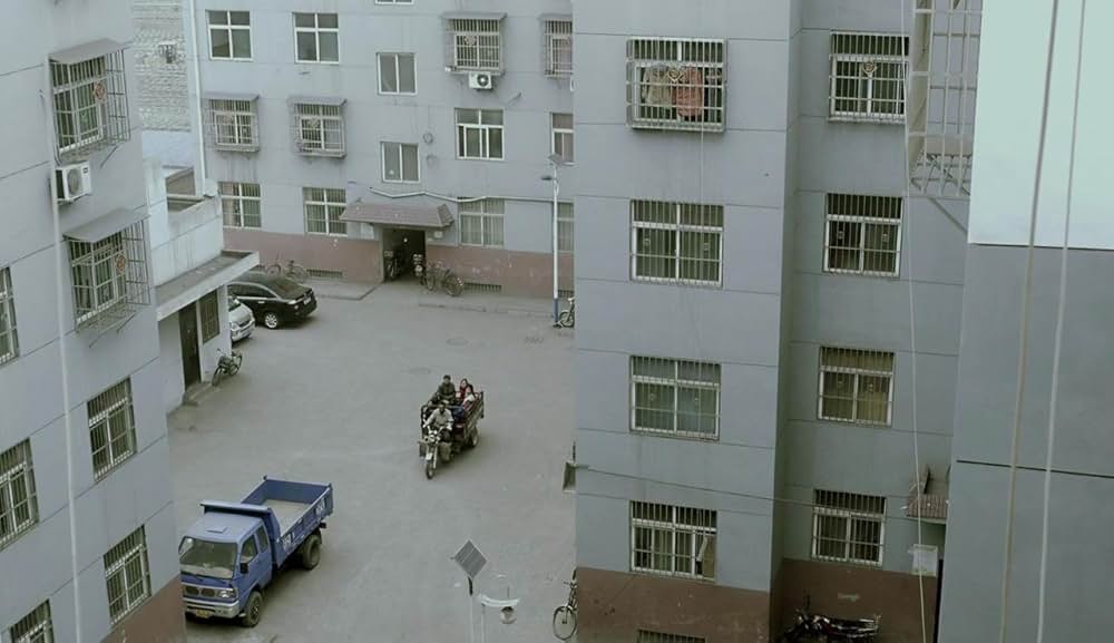 よみがえりの樹の画像