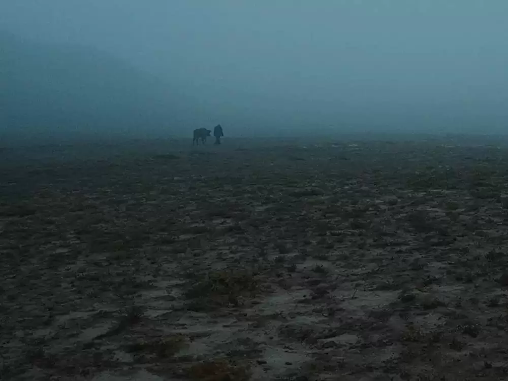 「神水の中のナイフ」の画像