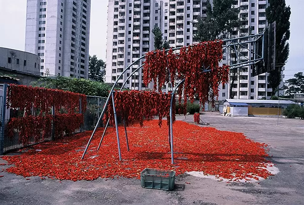 太陽の下で 真実の北朝鮮の画像