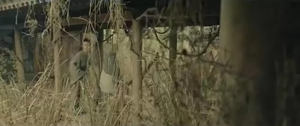 空海 ーKU-KAIー 美しき王妃の謎の画像