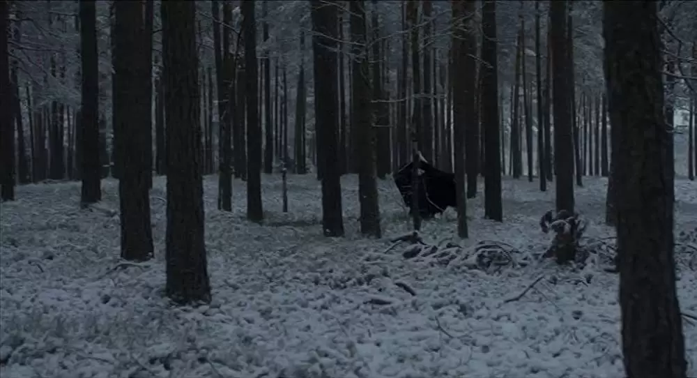 夜明けの祈りの画像