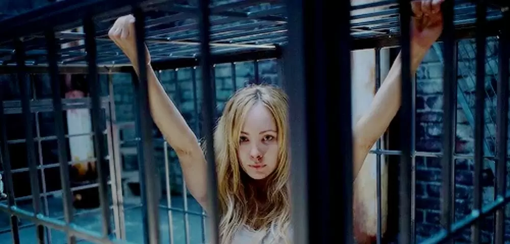 ペット 檻の中の乙女の画像