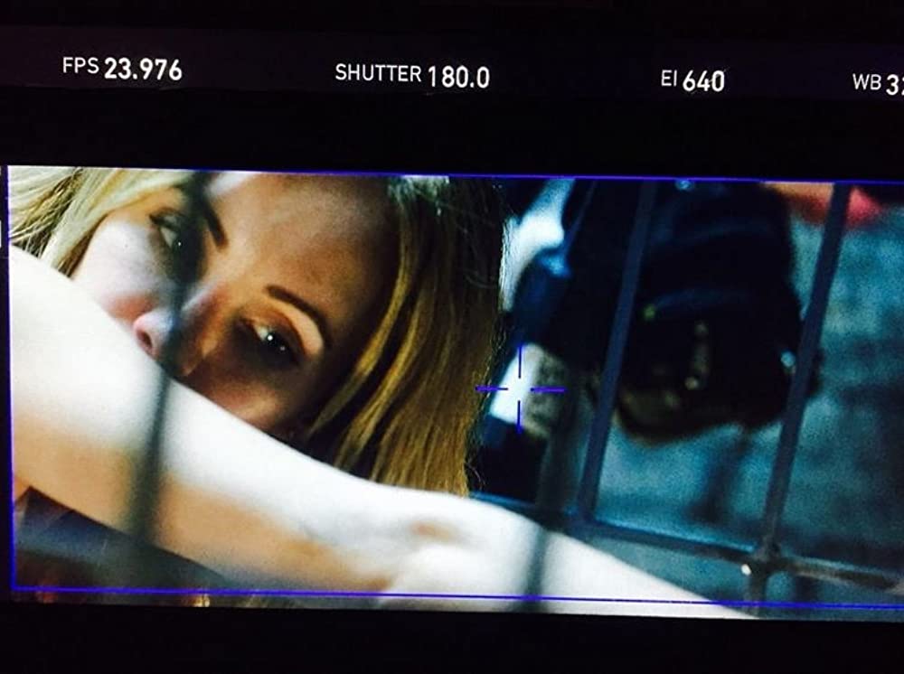 ペット 檻の中の乙女の画像