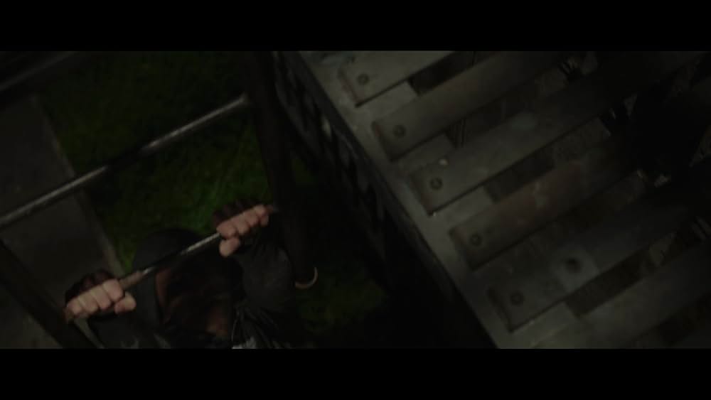 ペット 檻の中の乙女の画像