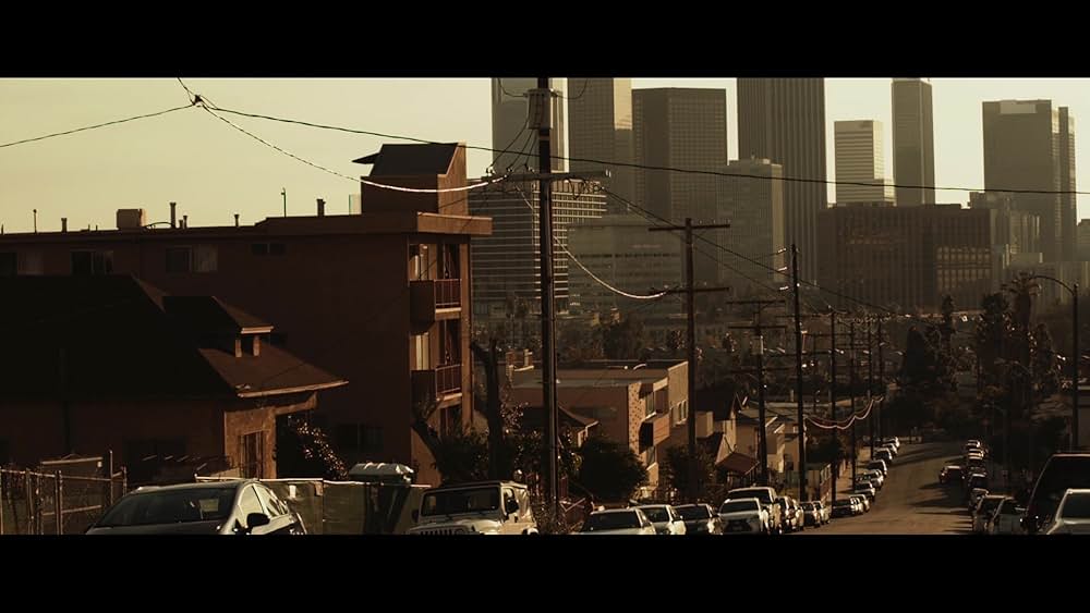 ペット 檻の中の乙女の画像