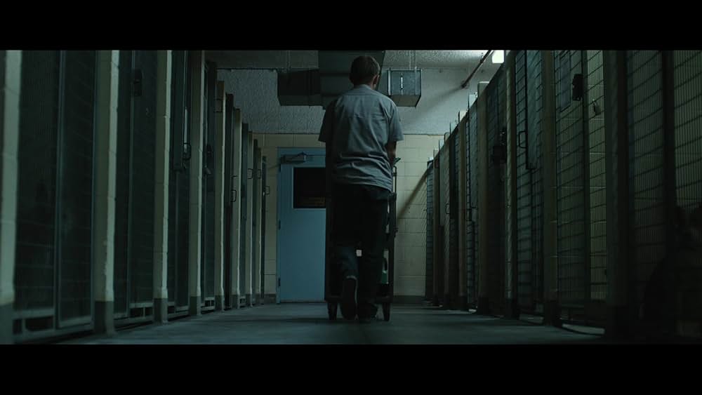 ペット 檻の中の乙女の画像