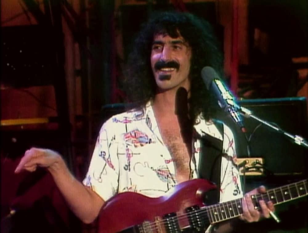 フランク・ザッパ／音楽に愛された男の画像