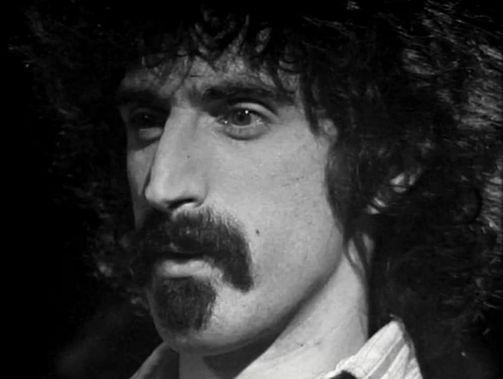 フランク・ザッパ／音楽に愛された男の画像