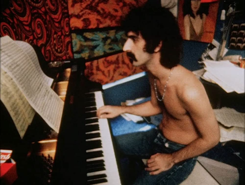 フランク・ザッパ／音楽に愛された男の画像