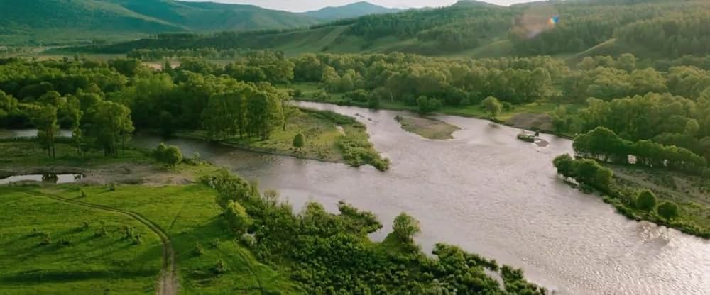 おじいちゃんはデブゴンの画像