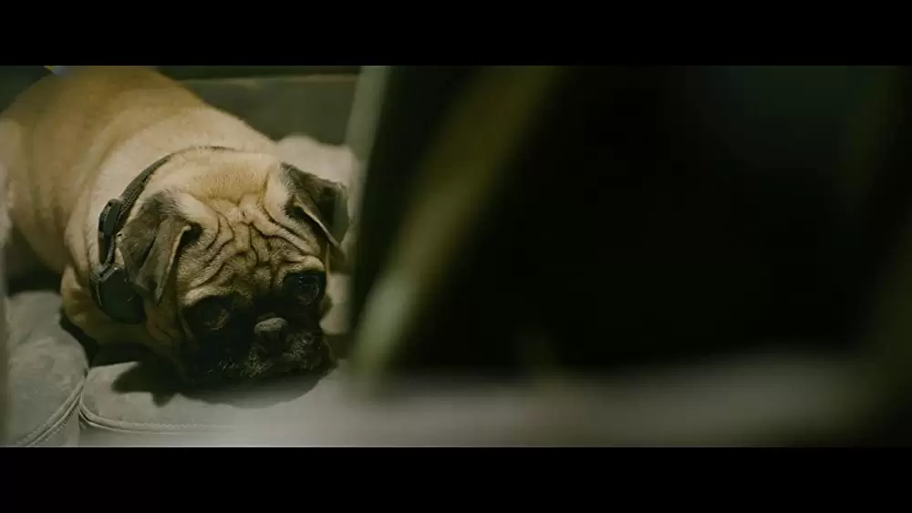 トンネル 闇に鎖（とざ）された男の画像