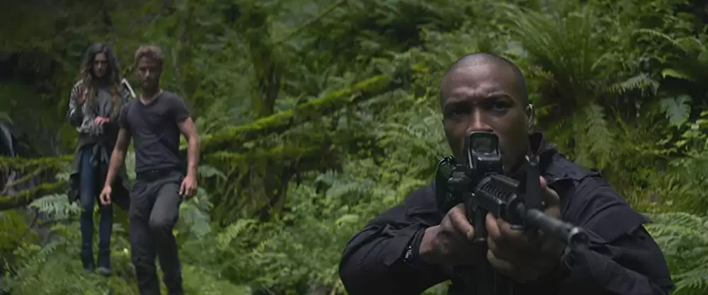 TAKE DOWN テイクダウンの画像