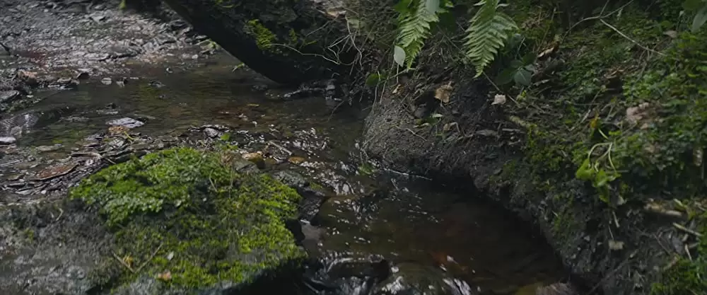 TAKE DOWN テイクダウンの画像
