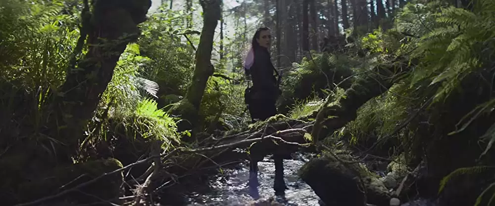 TAKE DOWN テイクダウンの画像