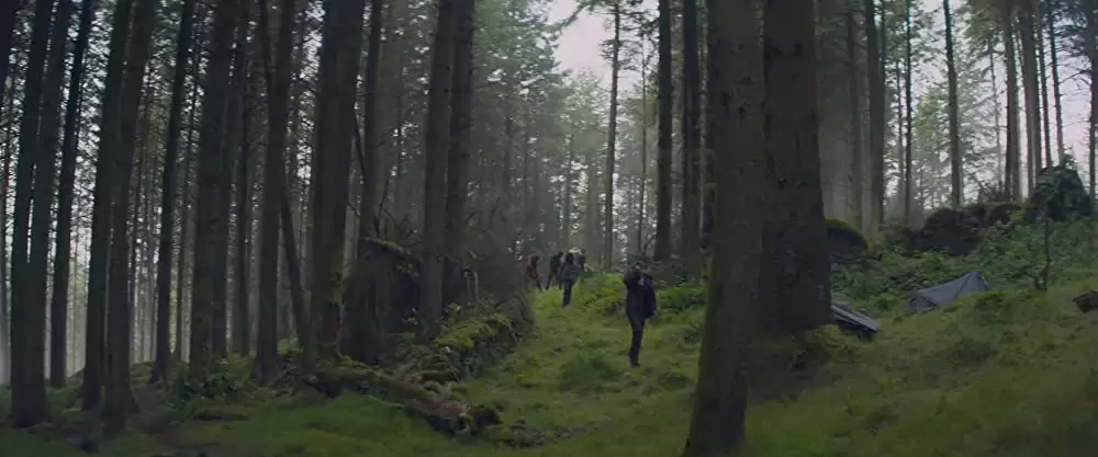 TAKE DOWN テイクダウンの画像