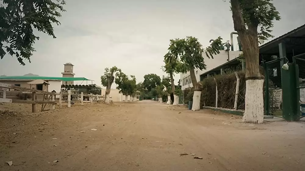 ロジャー・コーマン デス・レース 2050の画像