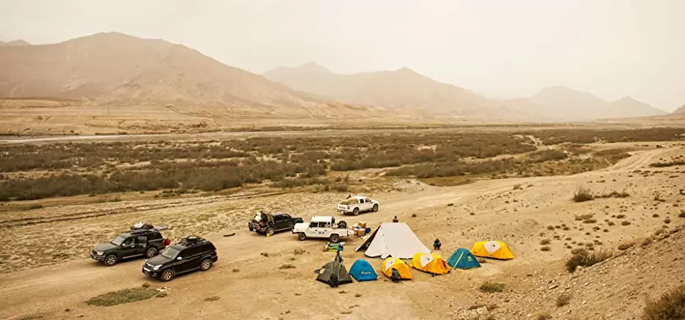 ディズニーネイチャー／ボーン・イン・チャイナ パンダ・ユキヒョウ・キンシコウの画像