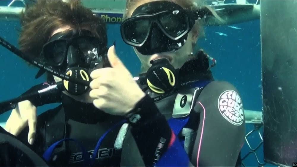 ケージ・ダイブの画像