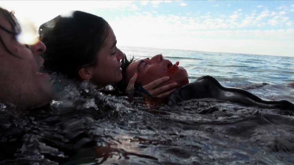 ケージ・ダイブの画像