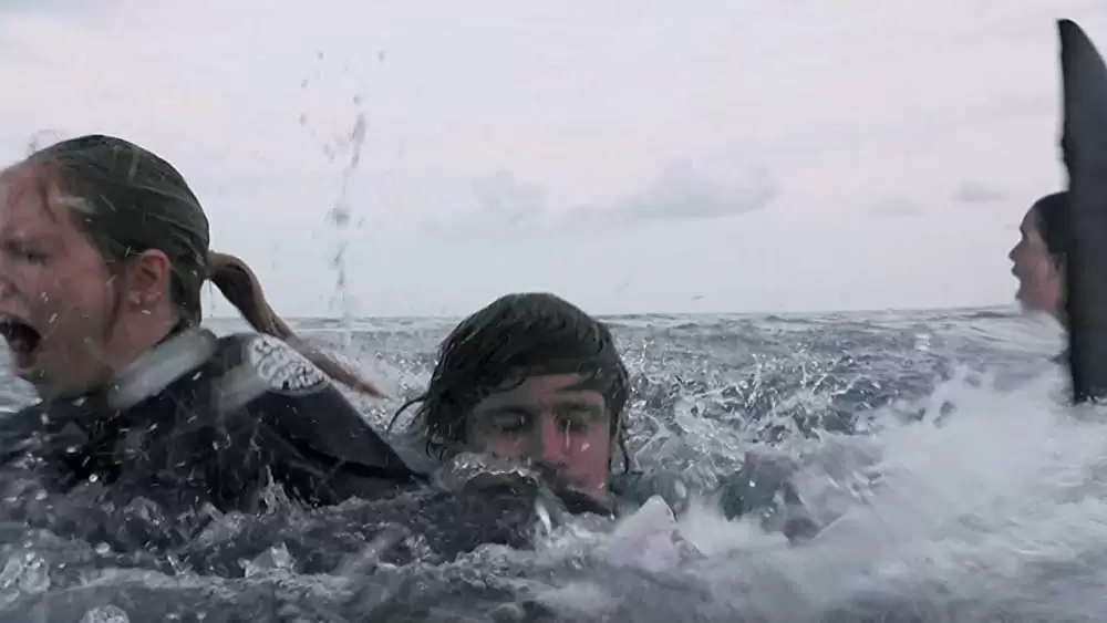 「ケージ・ダイブ」ミーガン・ペータ・ヒルの画像