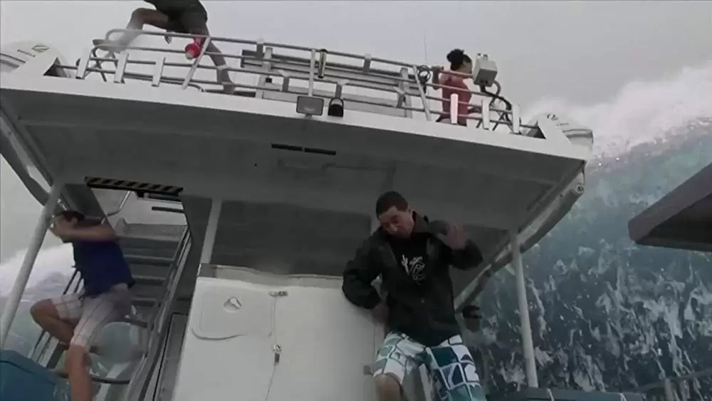 ケージ・ダイブの画像