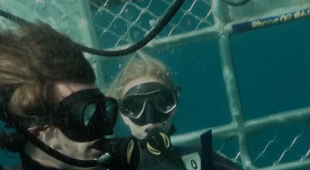 ケージ・ダイブの画像