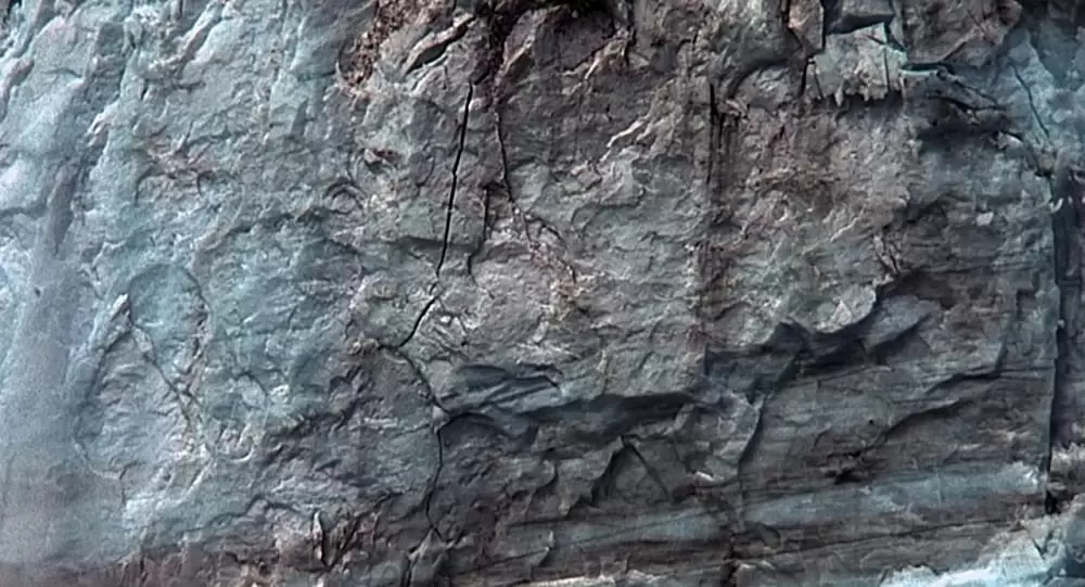 潜水服は蝶の夢を見るの画像