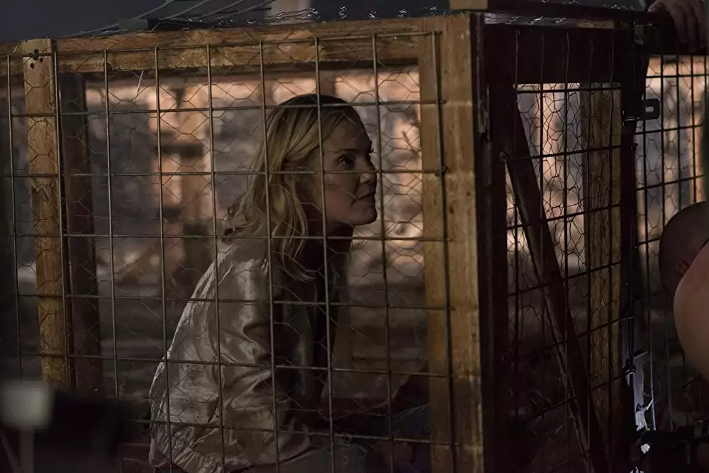 ゾディアック 覚醒の画像