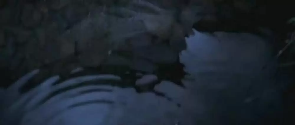 ヴェラの祈りの画像