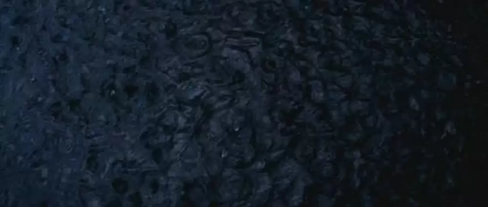 ヴェラの祈りの画像