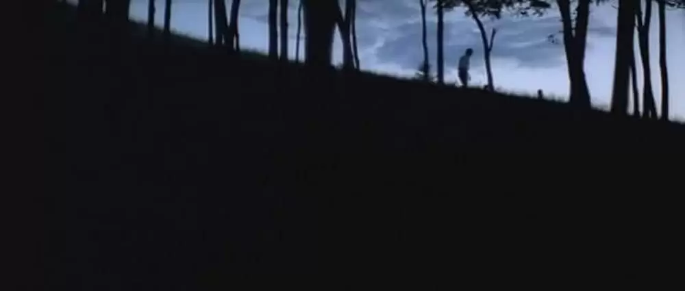 ヴェラの祈りの画像