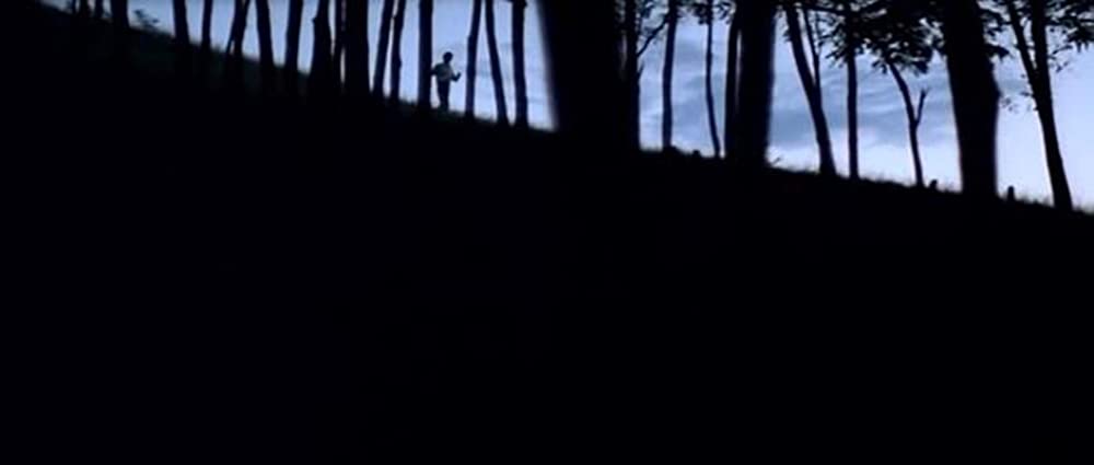 ヴェラの祈りの画像