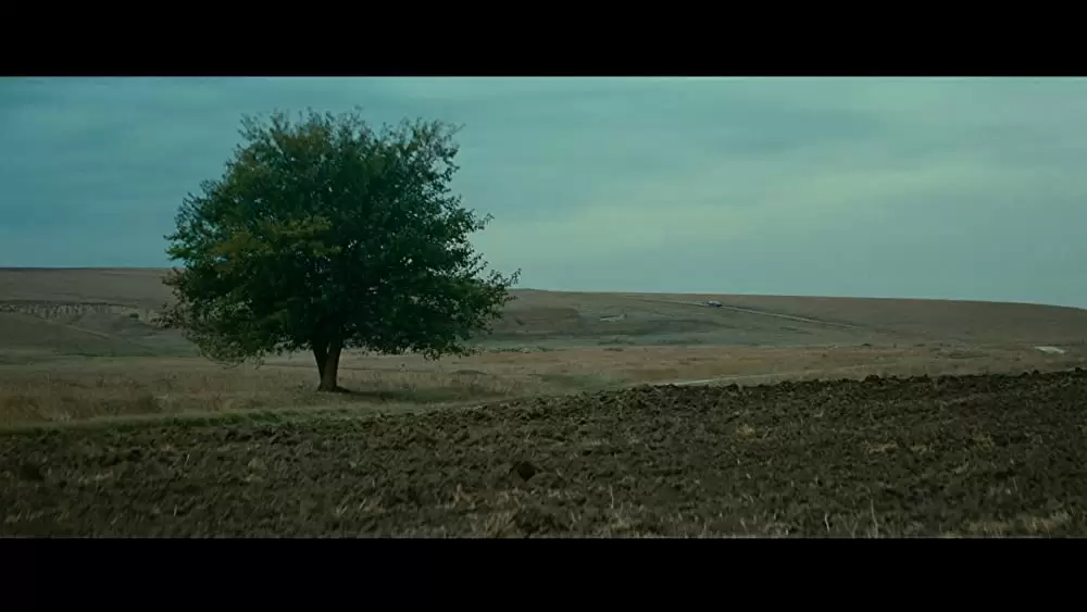 ヴェラの祈りの画像