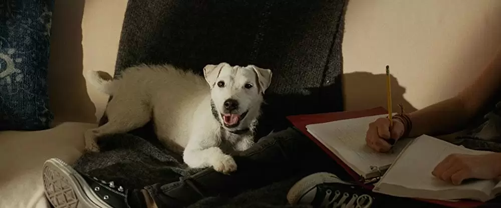 バッド・ウェイヴの画像