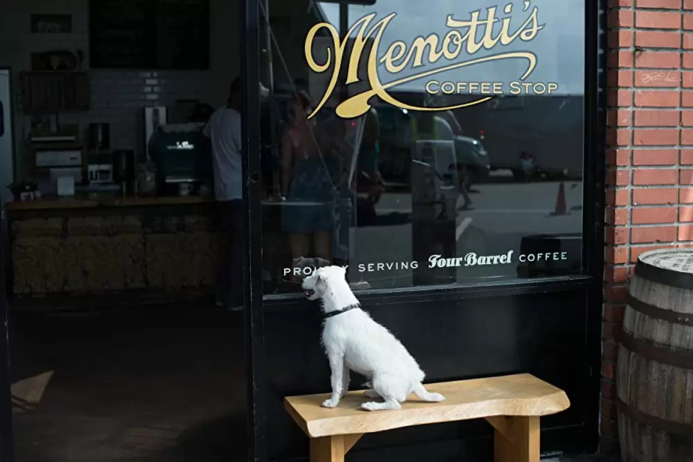 バッド・ウェイヴの画像