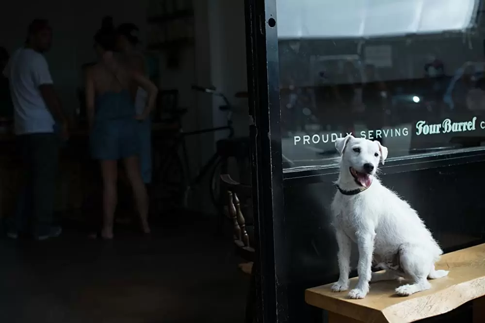 バッド・ウェイヴの画像