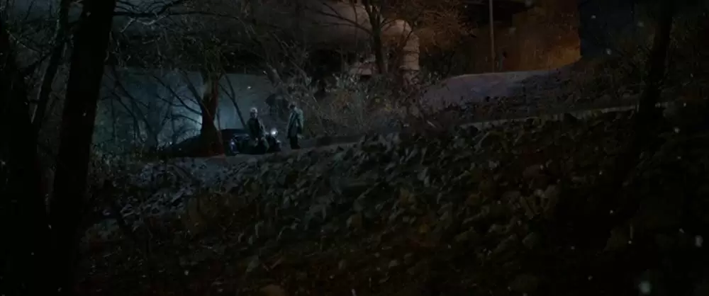 ゆれる人魚の画像