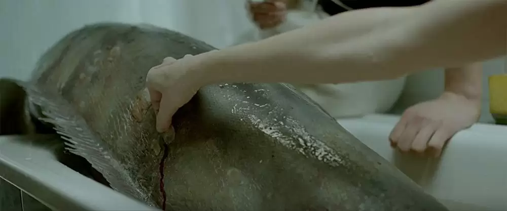 ゆれる人魚の画像