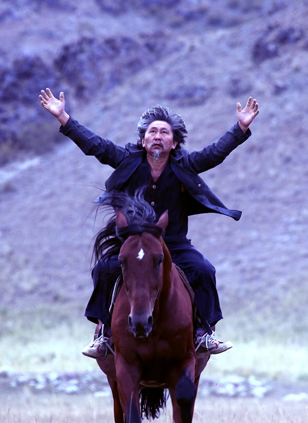 馬を放つの画像