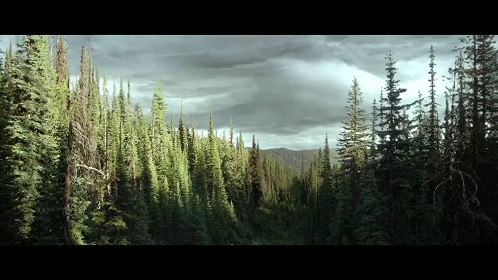 ウェズリー・スナイプス コンタクトの画像