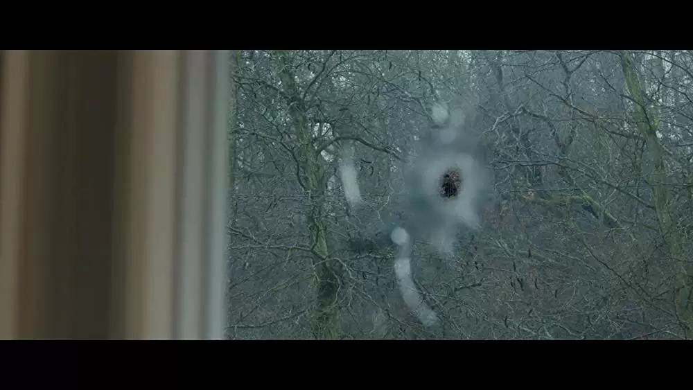 ザ・ボディガードの画像