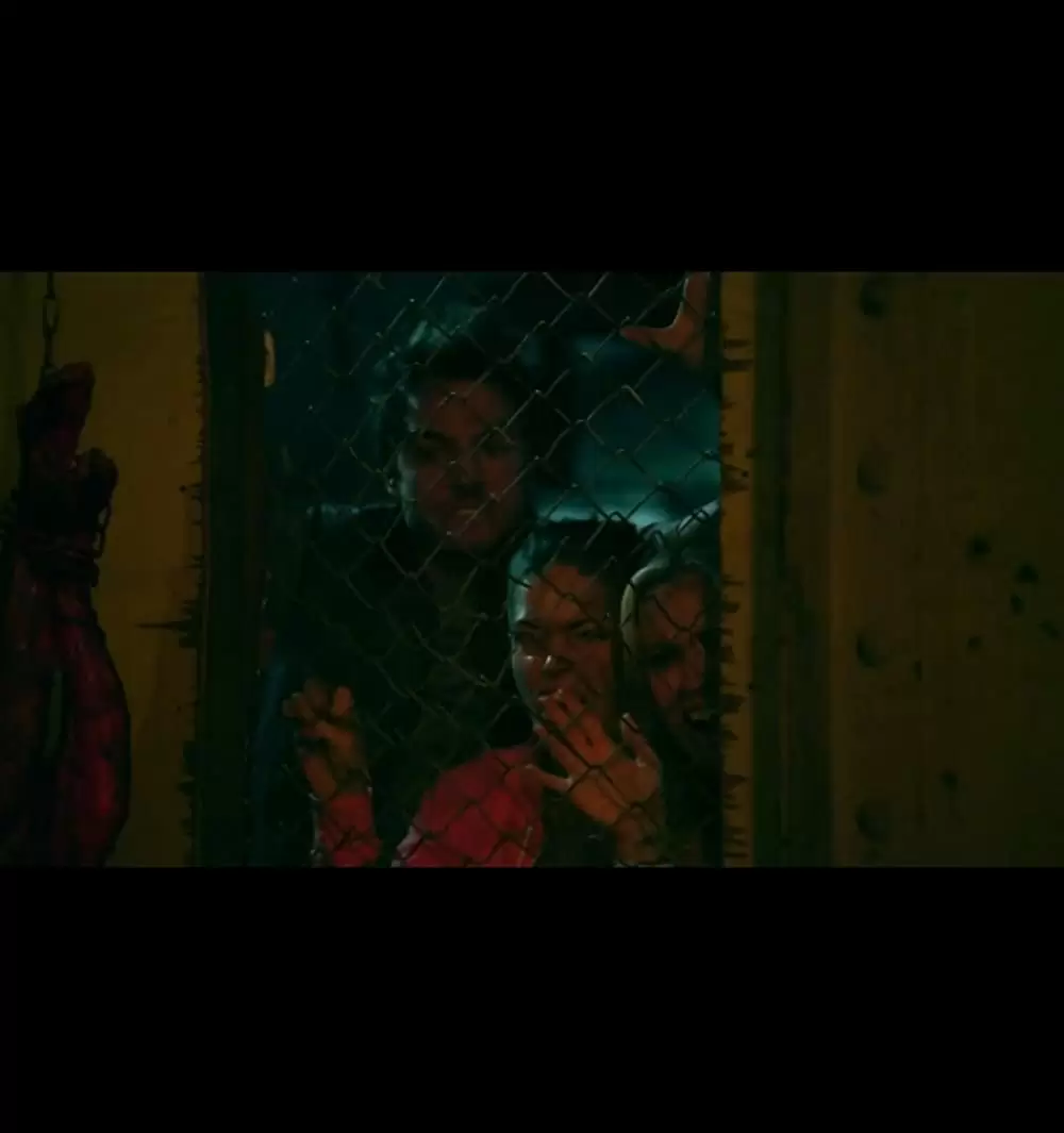 ザ・コレクター ～監禁地帯～の画像